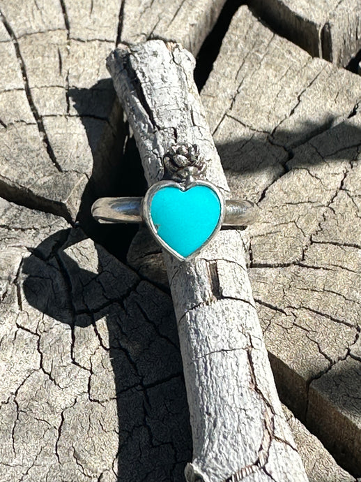 Turquoise and Succulent Ring II