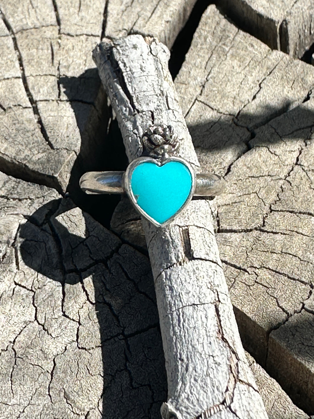Turquoise and Succulent Ring II