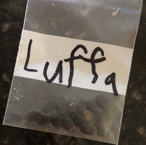 Luffa Seed pack