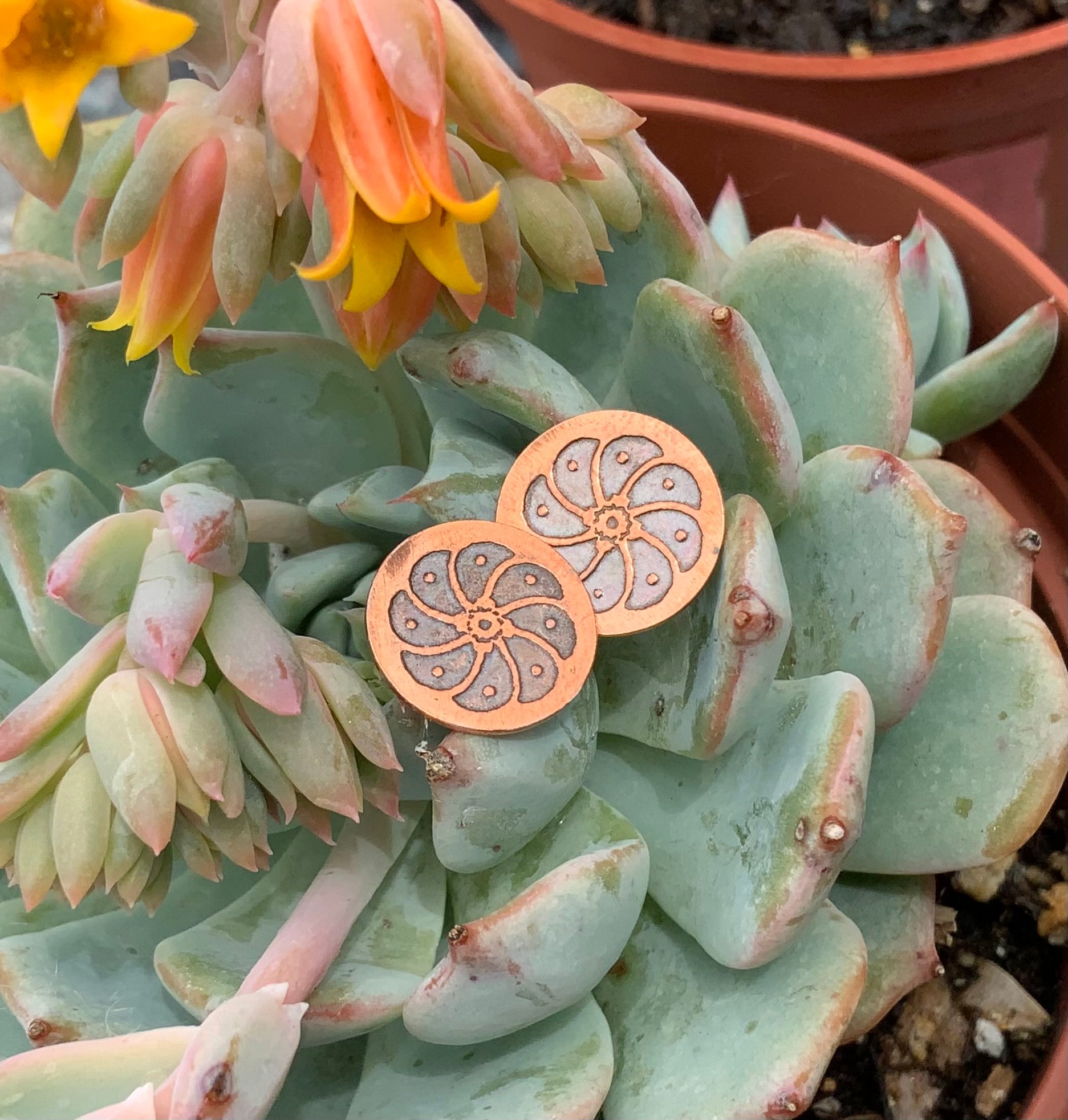 Copper Peyotitos post earrings