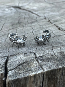 Axolotl post earrings
