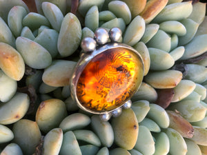 Amber ring with Stamped eagle
